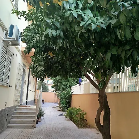 Confort Bed & Breakfast 4*